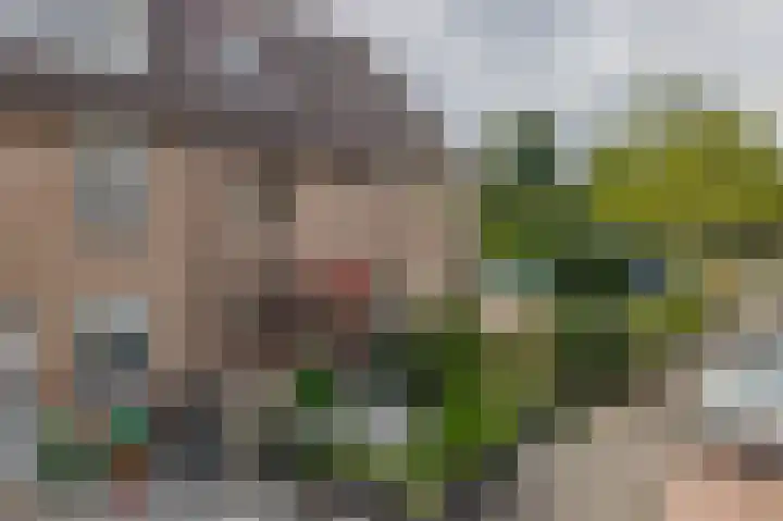 Boterbloem 3 Bergambacht thumbnail 26