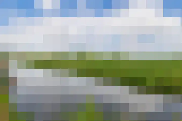 Boterbloem 3 Bergambacht thumbnail 29