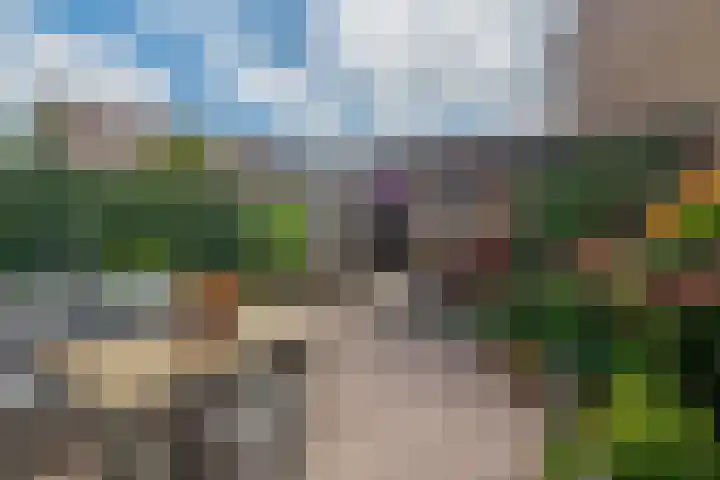 Boterbloem 3 Bergambacht thumbnail 4