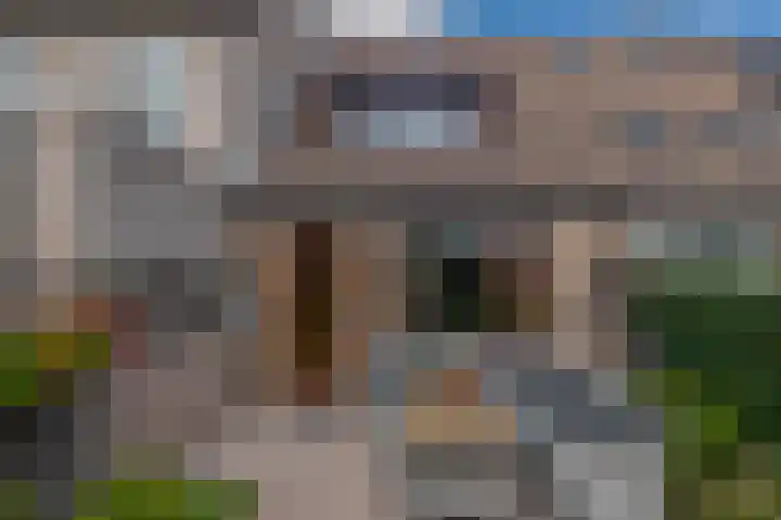 Boterbloem 3 Bergambacht thumbnail 5