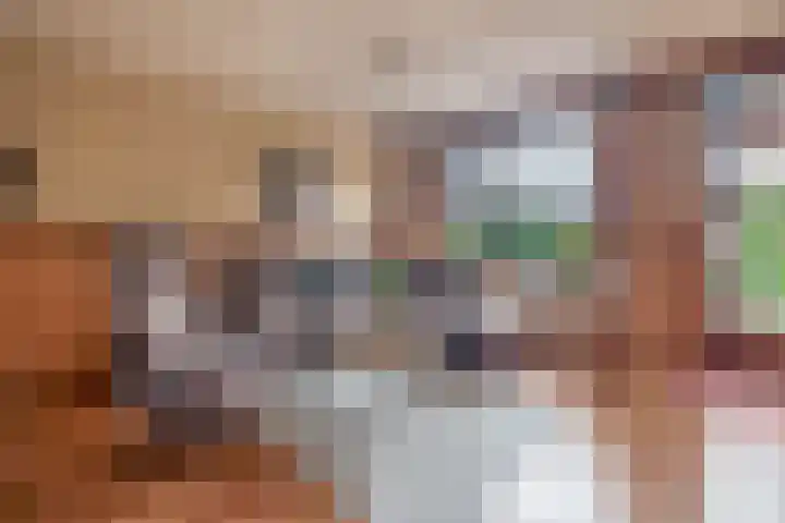 Boterbloem 3 Bergambacht thumbnail 9