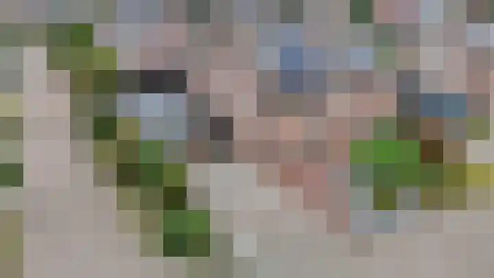 Boterbloem 31 Beilen