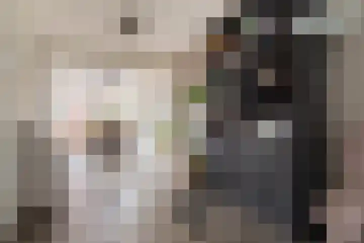 Boterbloem 31 Beilen thumbnail 12