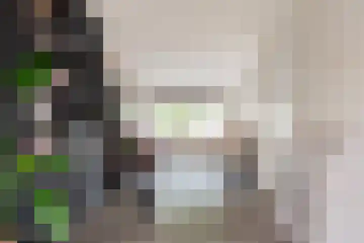Boterbloem 31 Beilen thumbnail 13