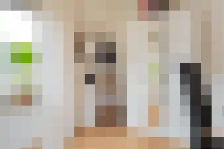 Boterbloem 31 Beilen thumbnail 37