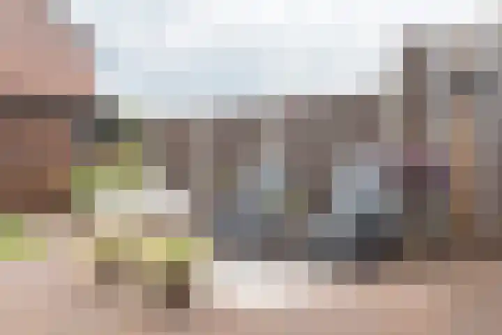 Boterbloem 31 Beilen thumbnail 43