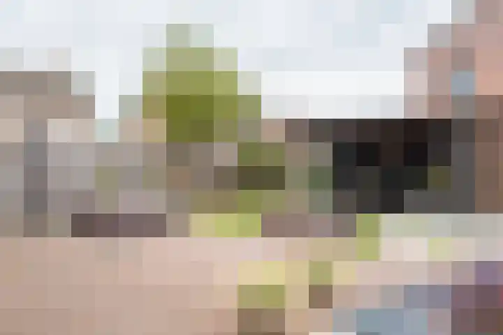 Boterbloem 31 Beilen thumbnail 44
