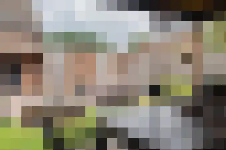 Boterbloem 31 Beilen thumbnail 48