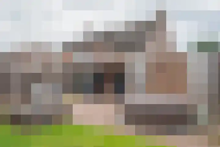 Boterbloem 31 Beilen thumbnail 49