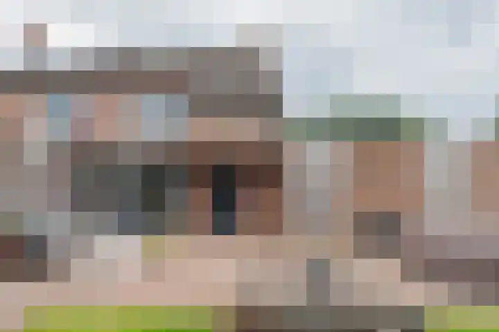 Boterbloem 31 Beilen thumbnail 50