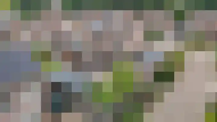 Boterbloem 31 Beilen thumbnail 51
