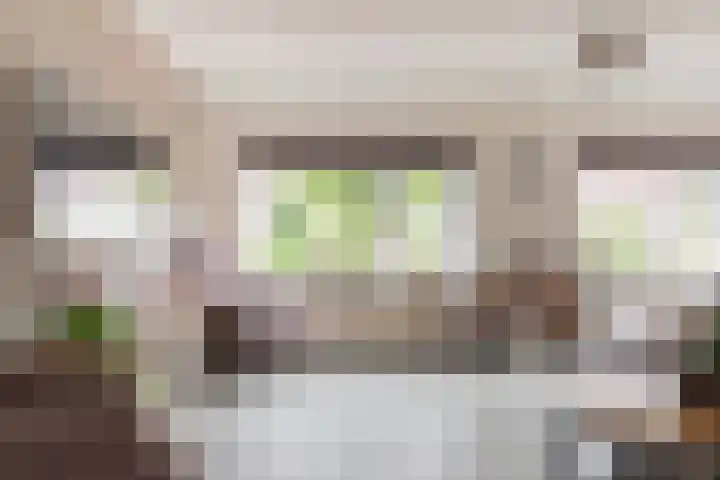 Boterbloem 31 Beilen thumbnail 7