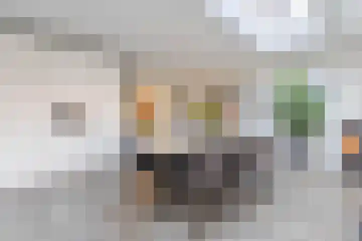 Boterbloem 31 Hazerswoude-Dorp thumbnail 12