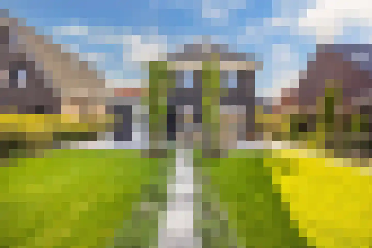 Boterbloem 34 't Veld thumbnail 28