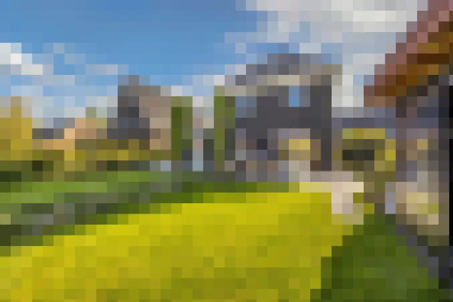 Boterbloem 34 't Veld thumbnail 29