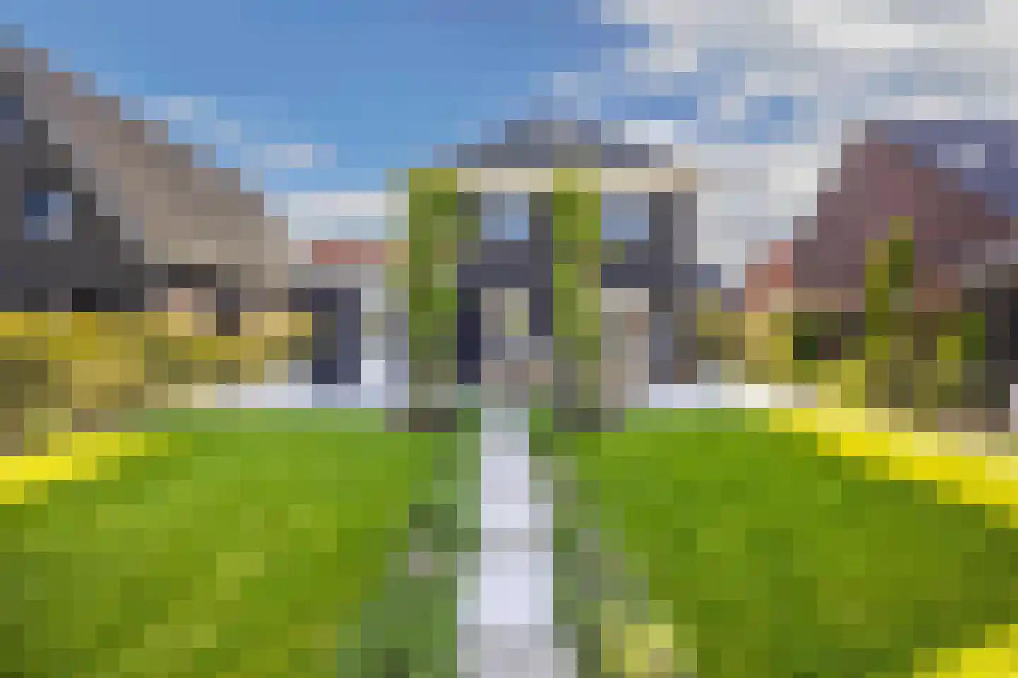 Boterbloem 34 't Veld thumbnail 30