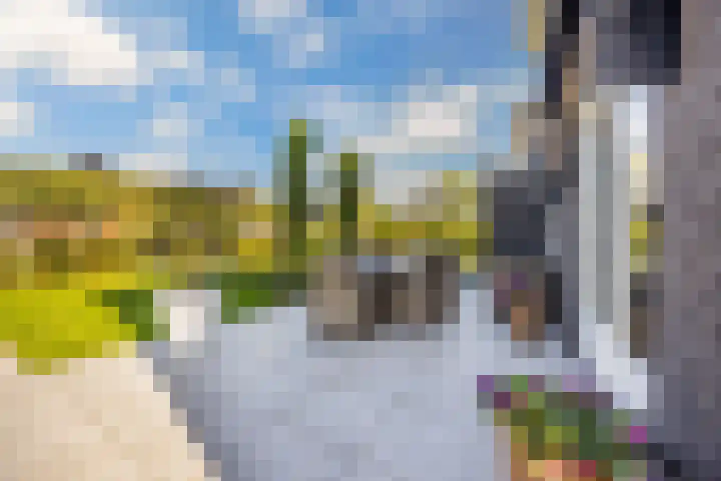 Boterbloem 34 't Veld thumbnail 31
