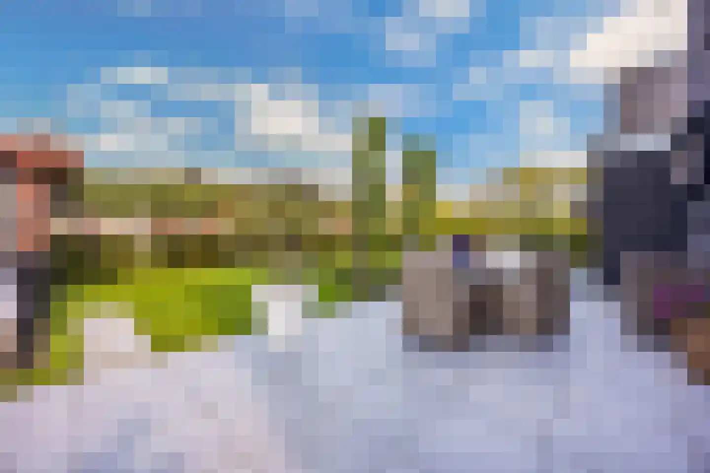 Boterbloem 34 't Veld thumbnail 32