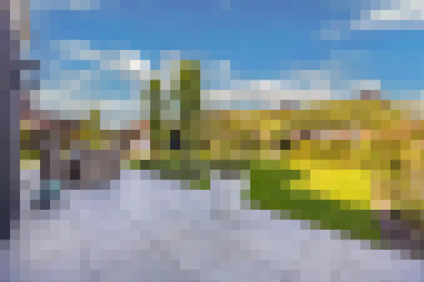 Boterbloem 34 't Veld thumbnail 33