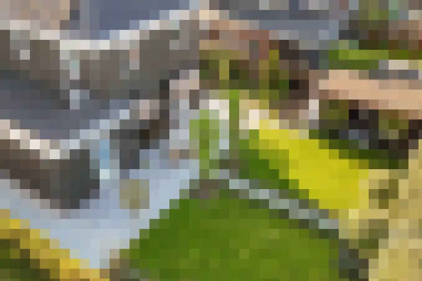 Boterbloem 34 't Veld thumbnail 34