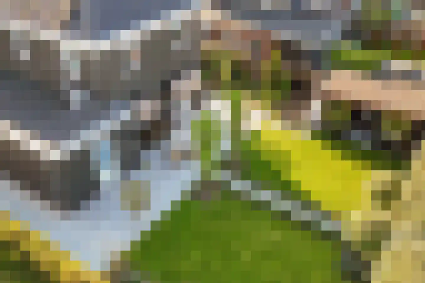 Boterbloem 34 't Veld thumbnail 34