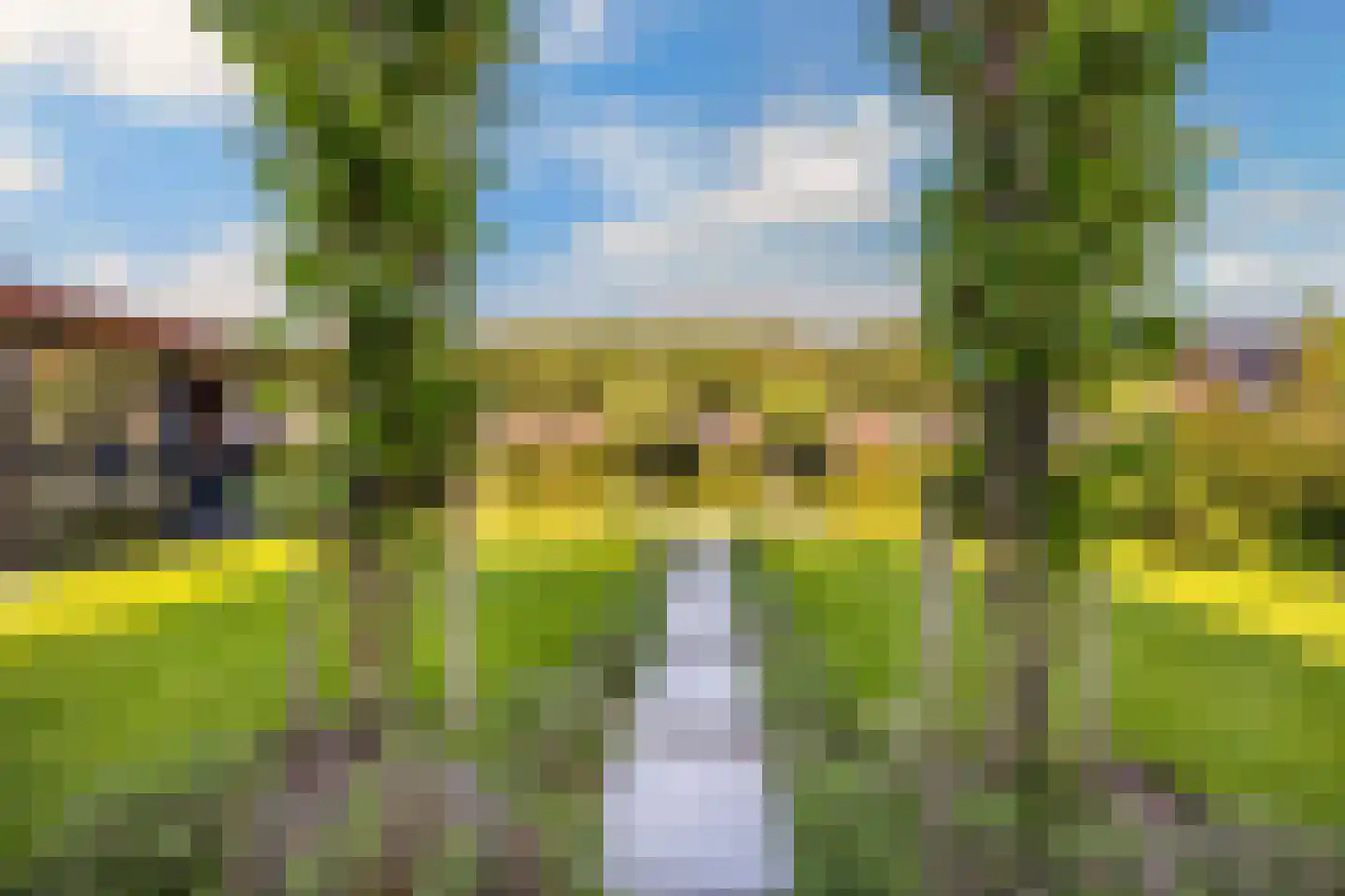 Boterbloem 34 't Veld thumbnail 35