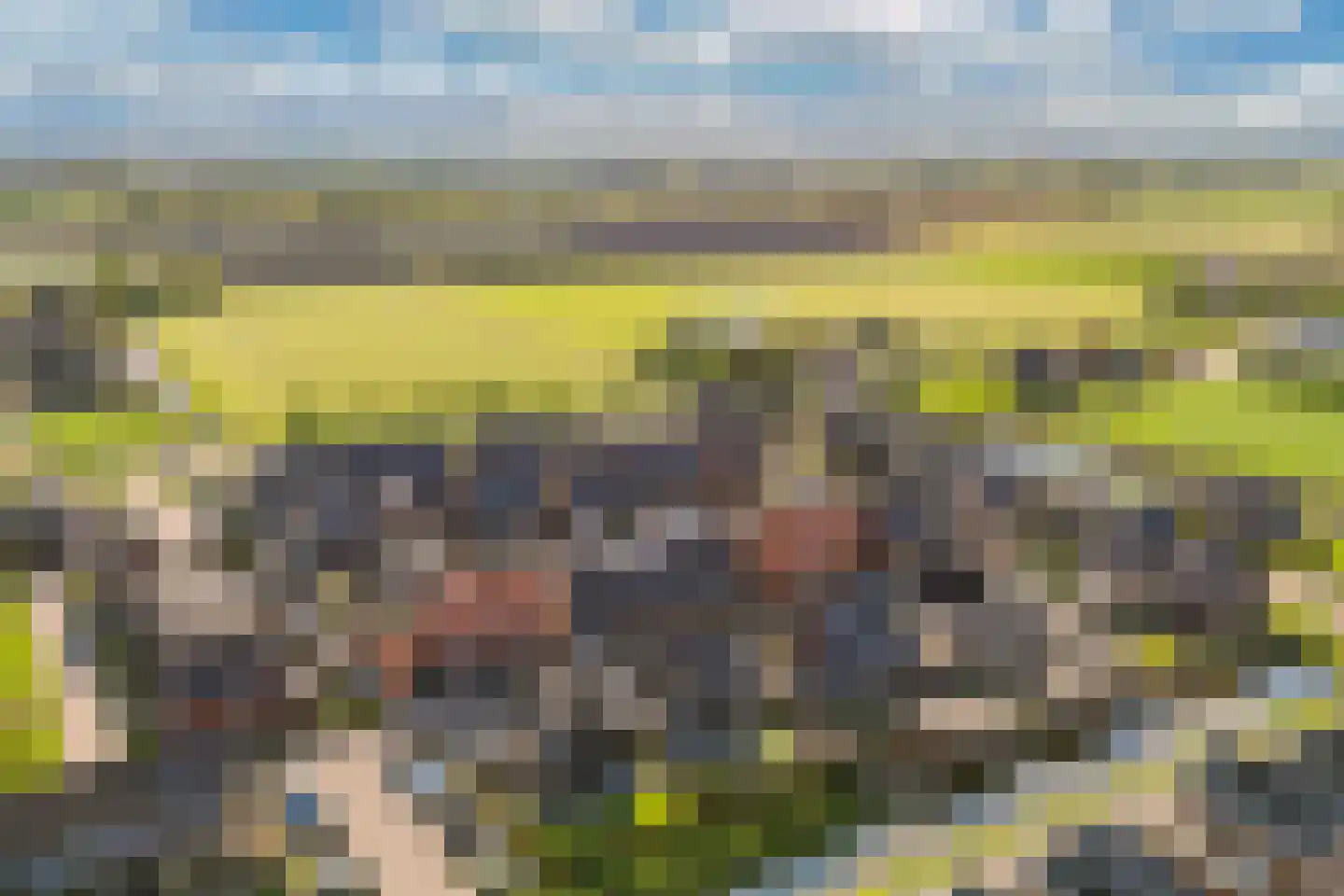 Boterbloem 34 't Veld thumbnail 37