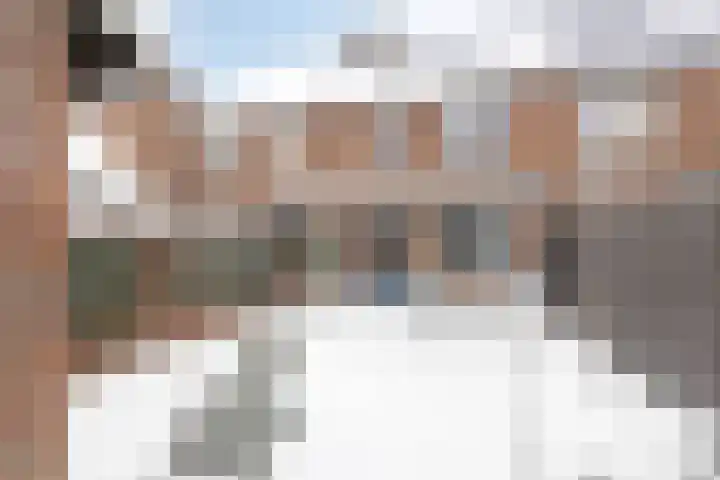 Boterbloem 35 Zeeland thumbnail 31