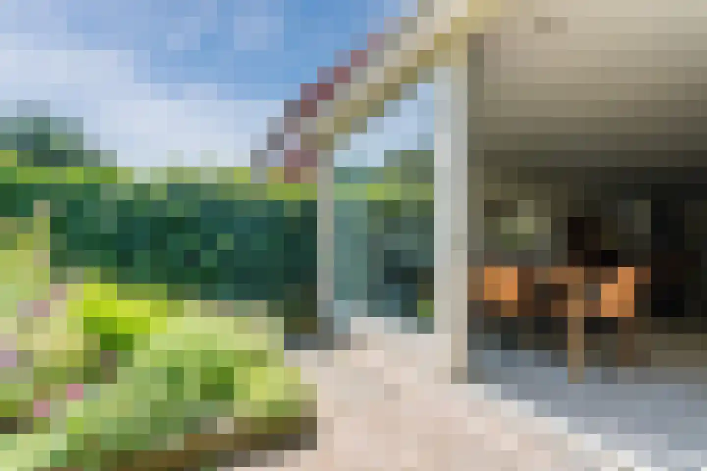 Boterbloem 36 Naaldwijk thumbnail 16