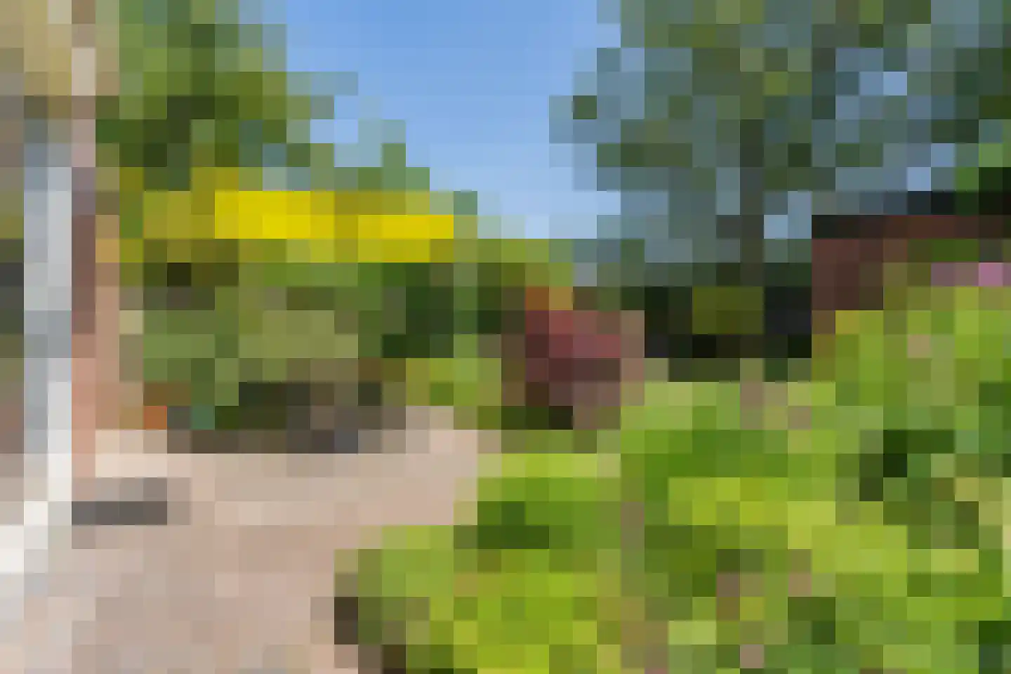 Boterbloem 36 Naaldwijk thumbnail 17