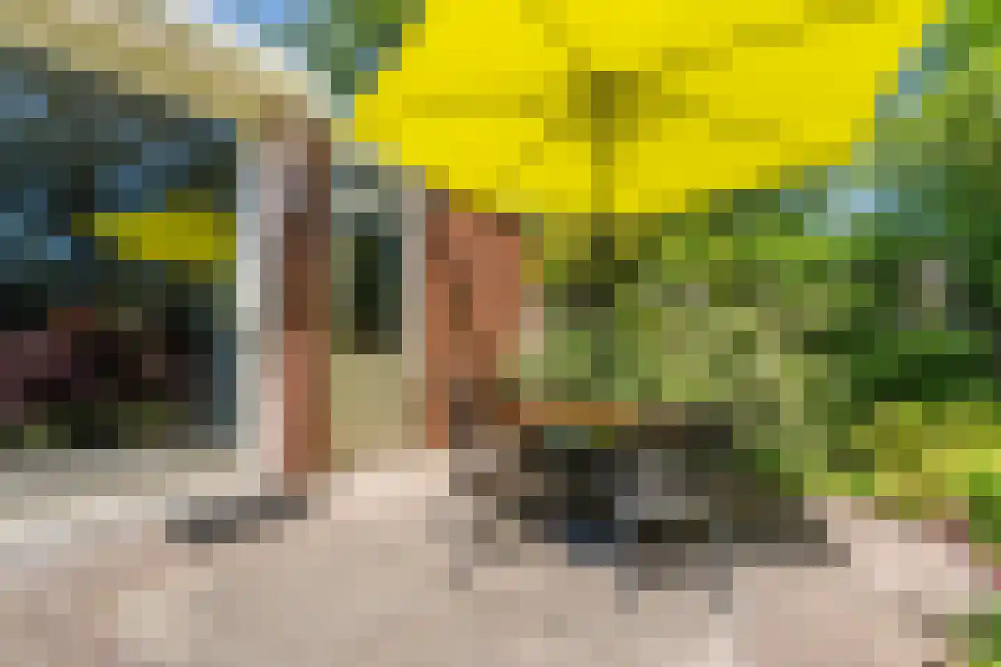 Boterbloem 36 Naaldwijk thumbnail 18