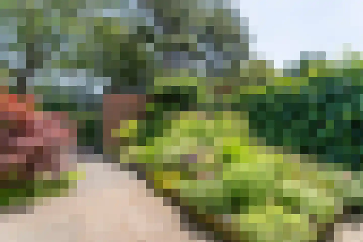 Boterbloem 36 Naaldwijk thumbnail 19