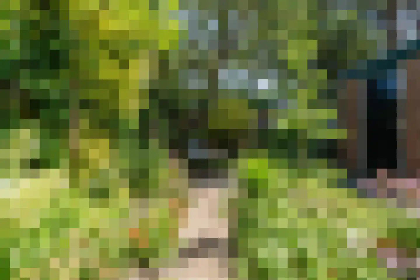 Boterbloem 36 Naaldwijk thumbnail 20