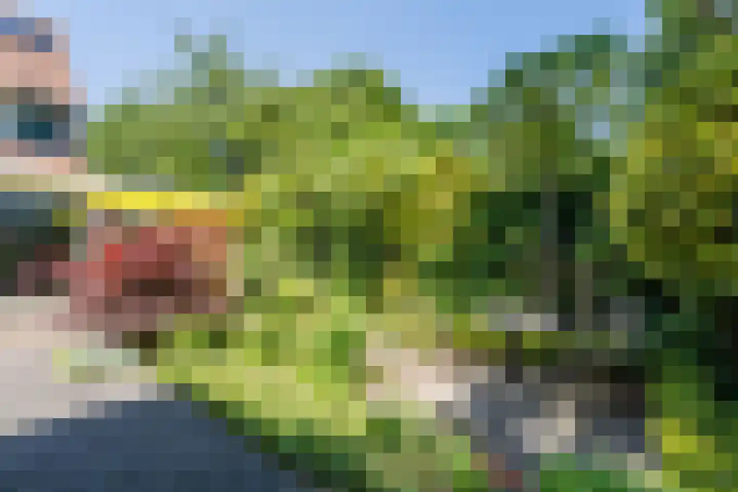 Boterbloem 36 Naaldwijk thumbnail 21