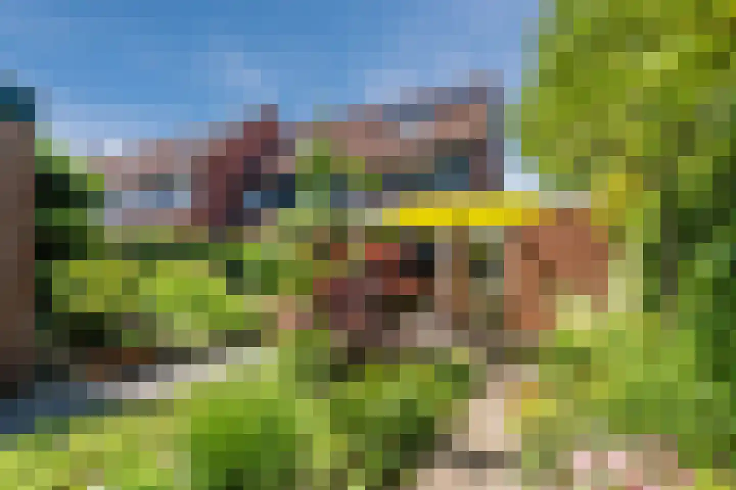 Boterbloem 36 Naaldwijk thumbnail 22