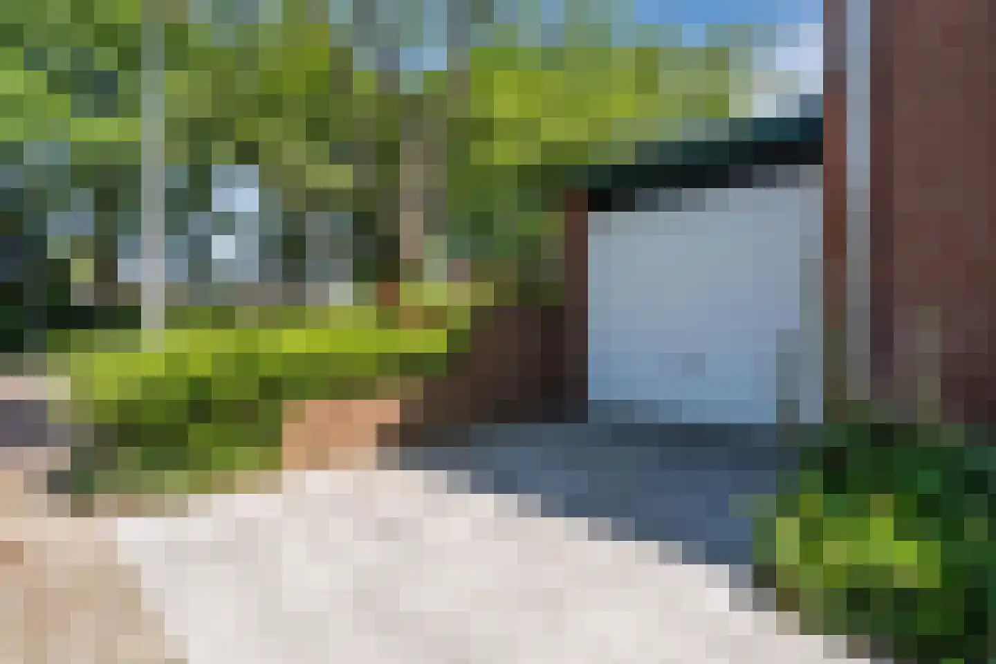 Boterbloem 36 Naaldwijk thumbnail 37