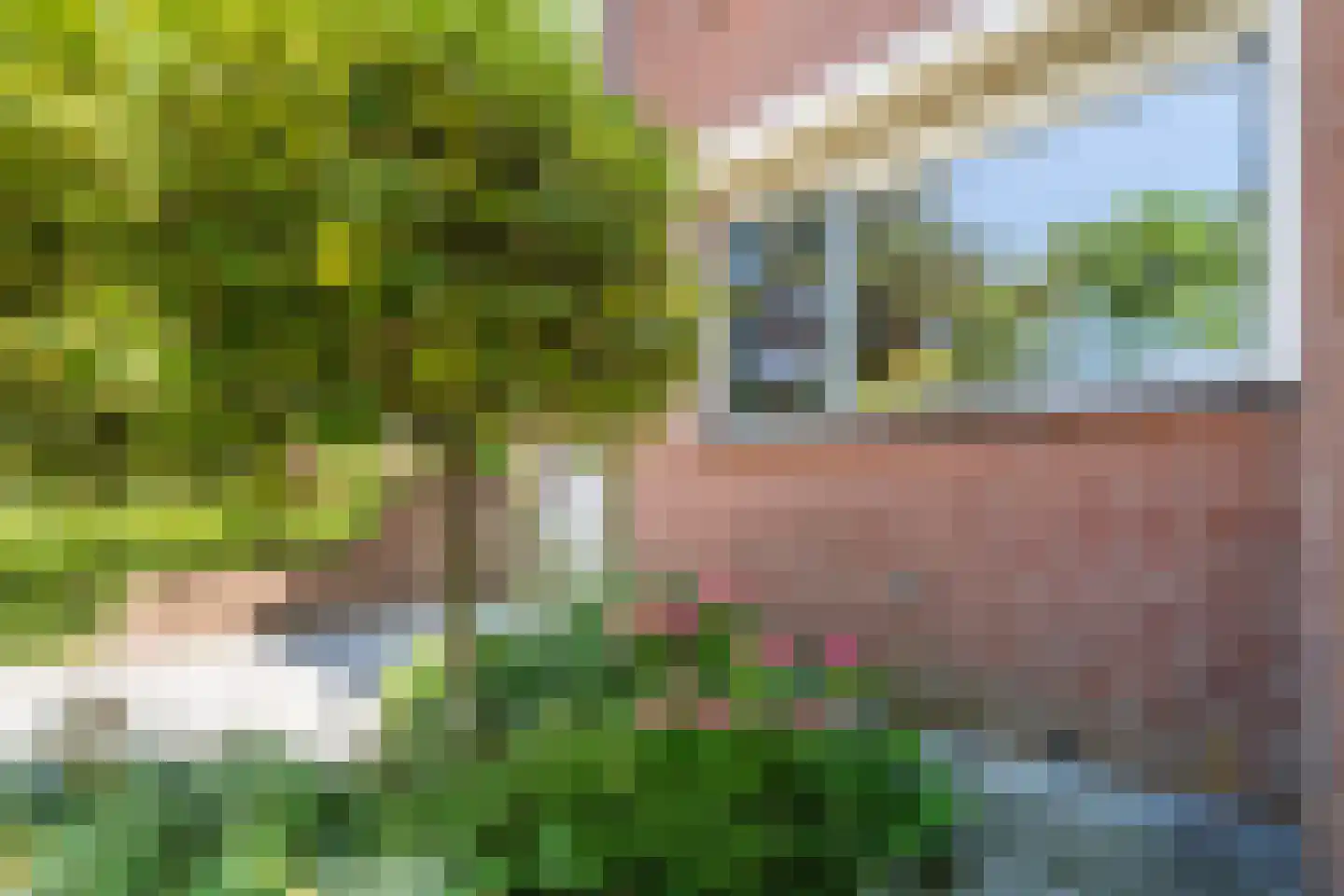 Boterbloem 36 Naaldwijk thumbnail 38