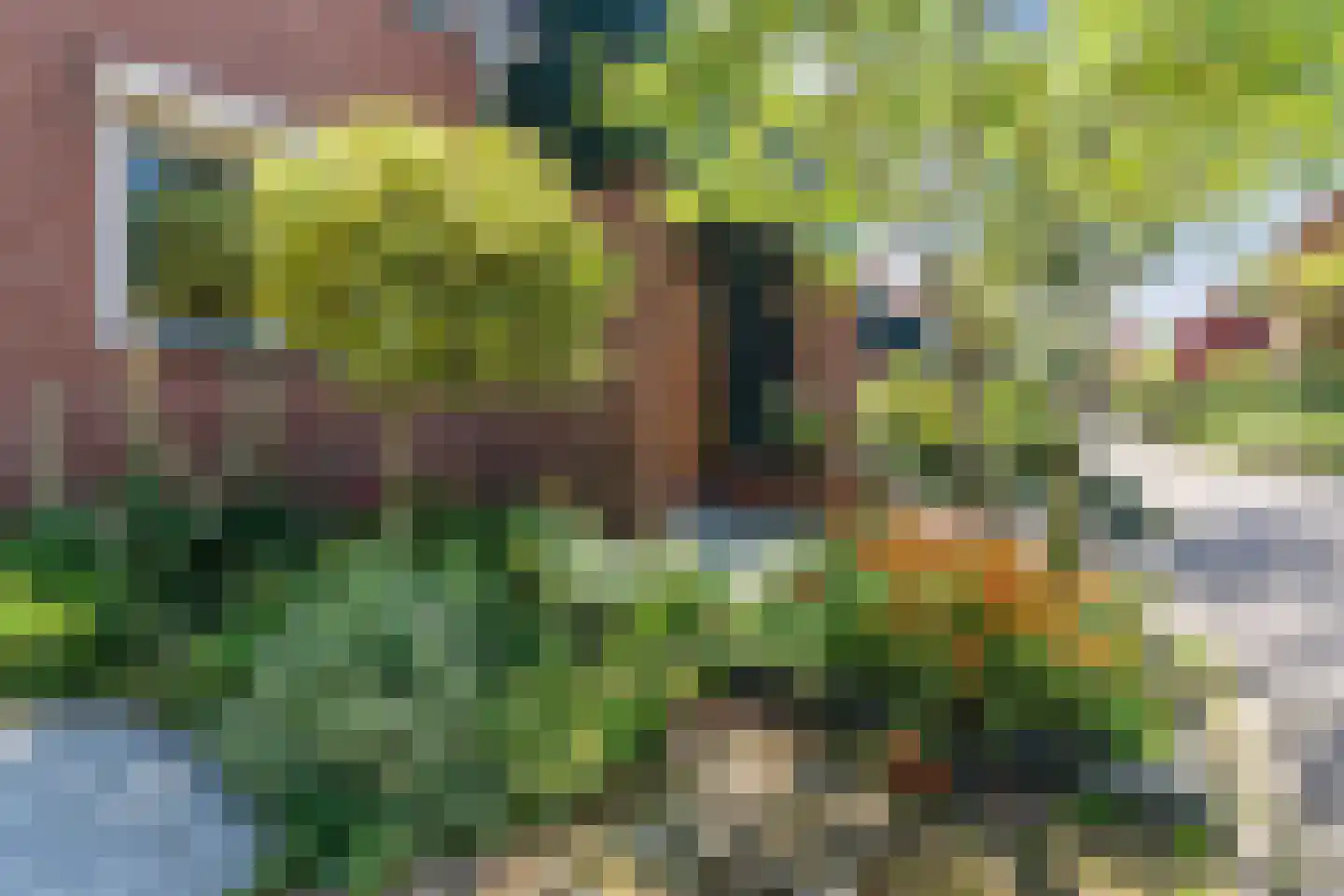 Boterbloem 36 Naaldwijk thumbnail 39