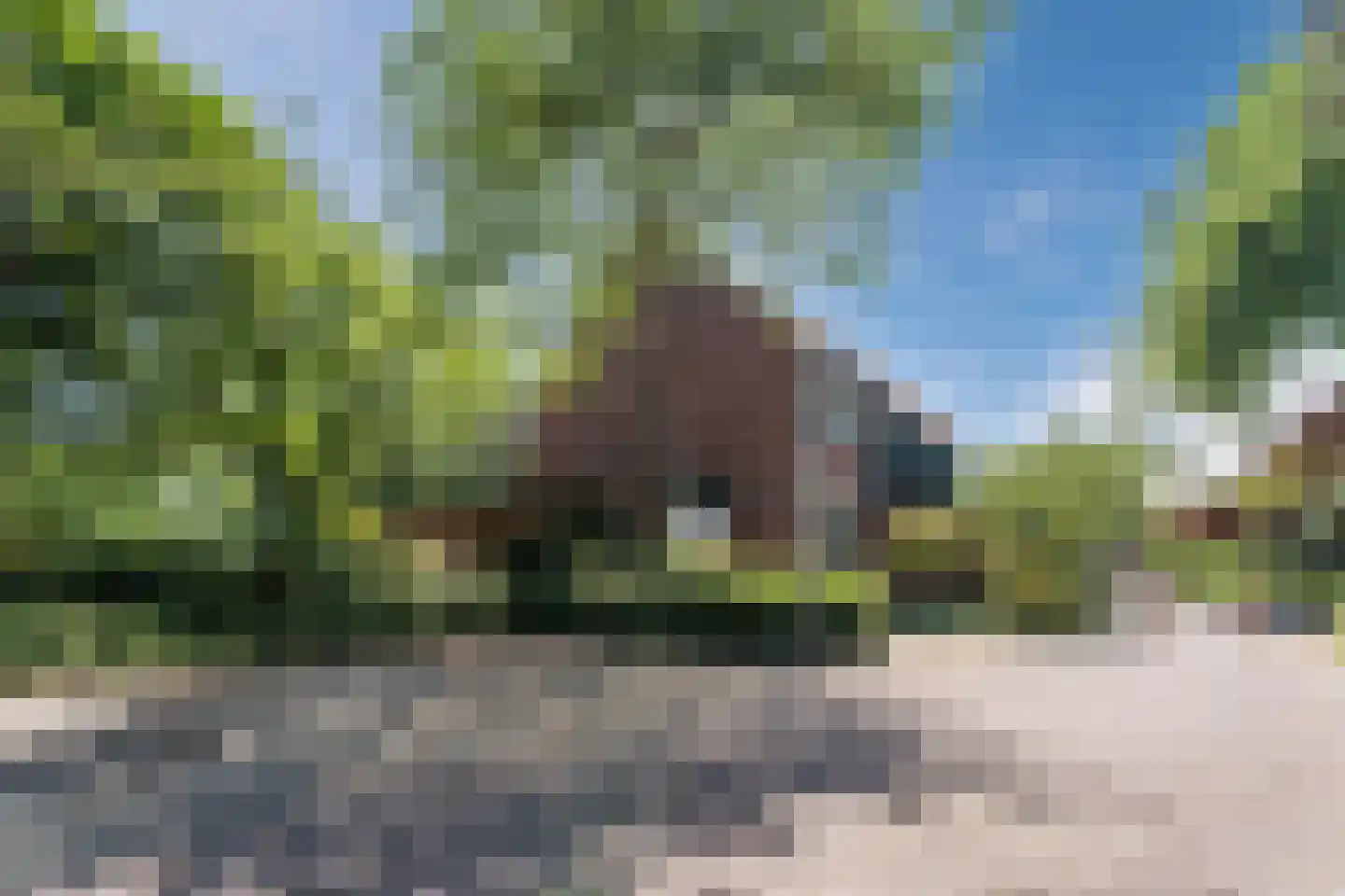 Boterbloem 36 Naaldwijk thumbnail 40