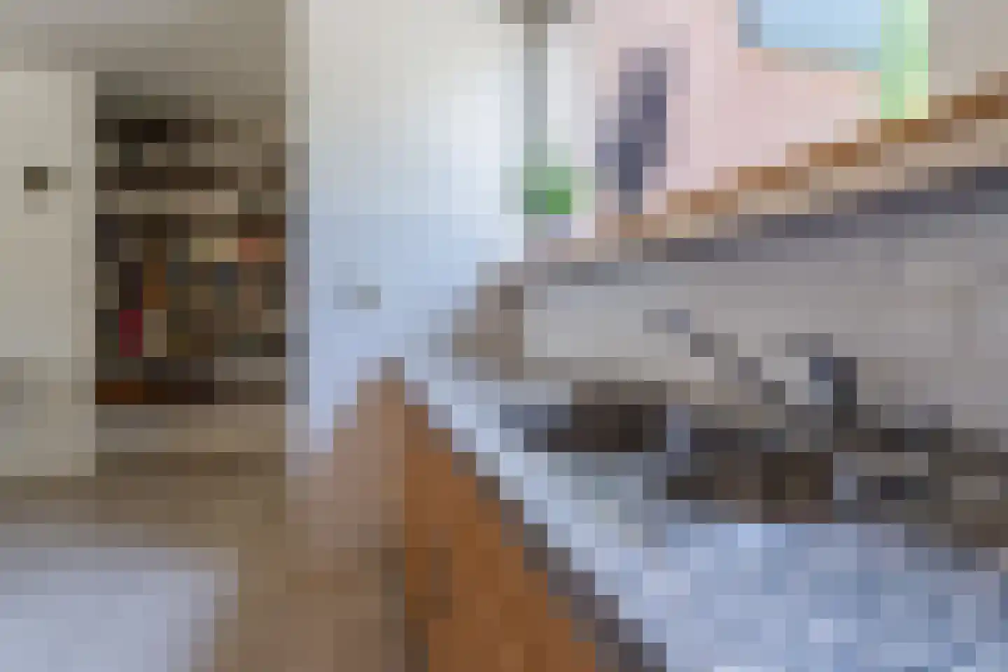 Boterbloem 36 Naaldwijk thumbnail 5