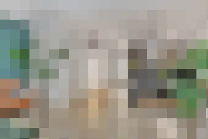 Boterbloem 4 Bergambacht thumbnail 11