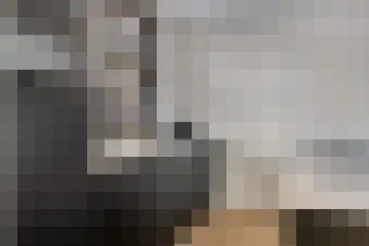 Boterbloem 4 Bergambacht thumbnail 14