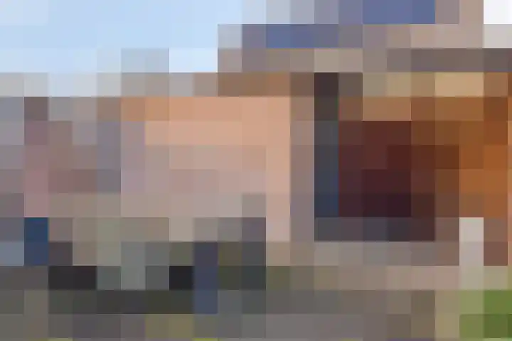Boterbloem 4 Bergambacht thumbnail 28