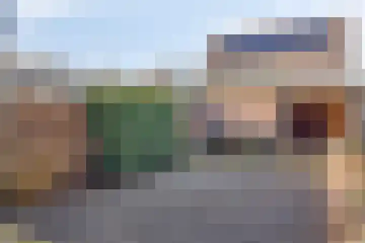 Boterbloem 4 Bergambacht thumbnail 29