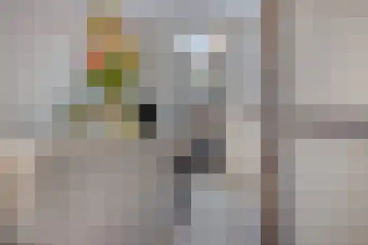 Boterbloem 4 Bergambacht thumbnail 5