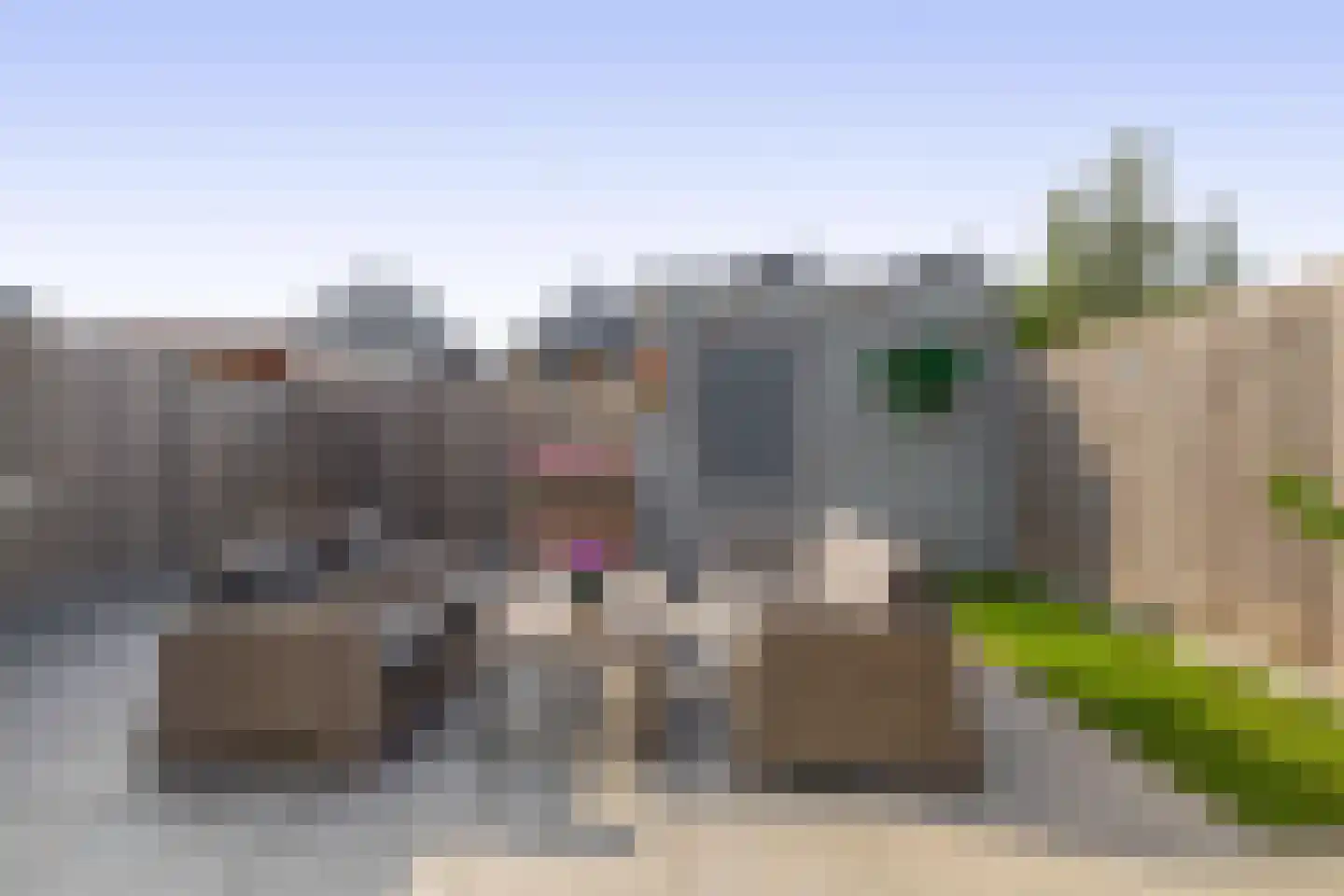 Boterbloem 41 't Veld thumbnail 18