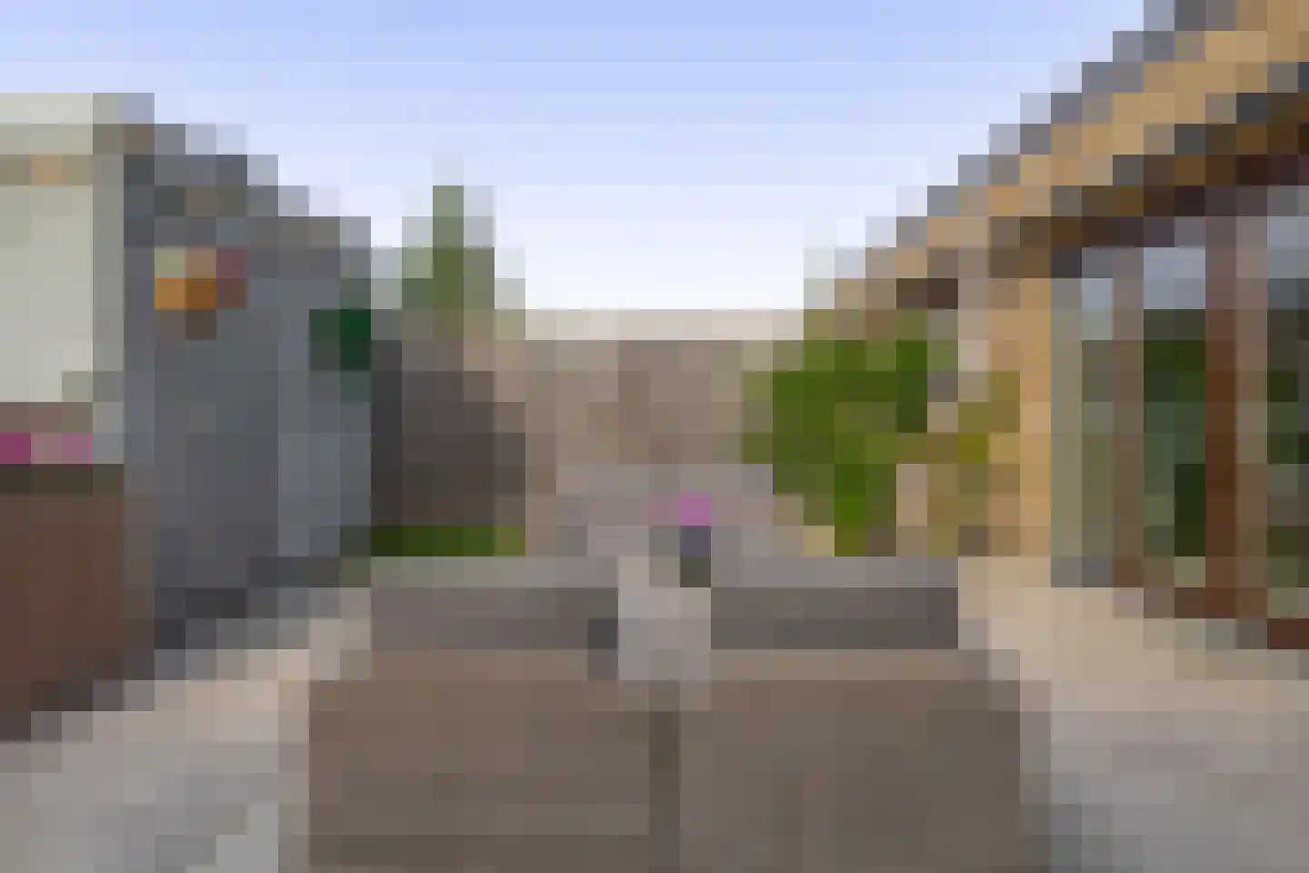 Boterbloem 41 't Veld thumbnail 21