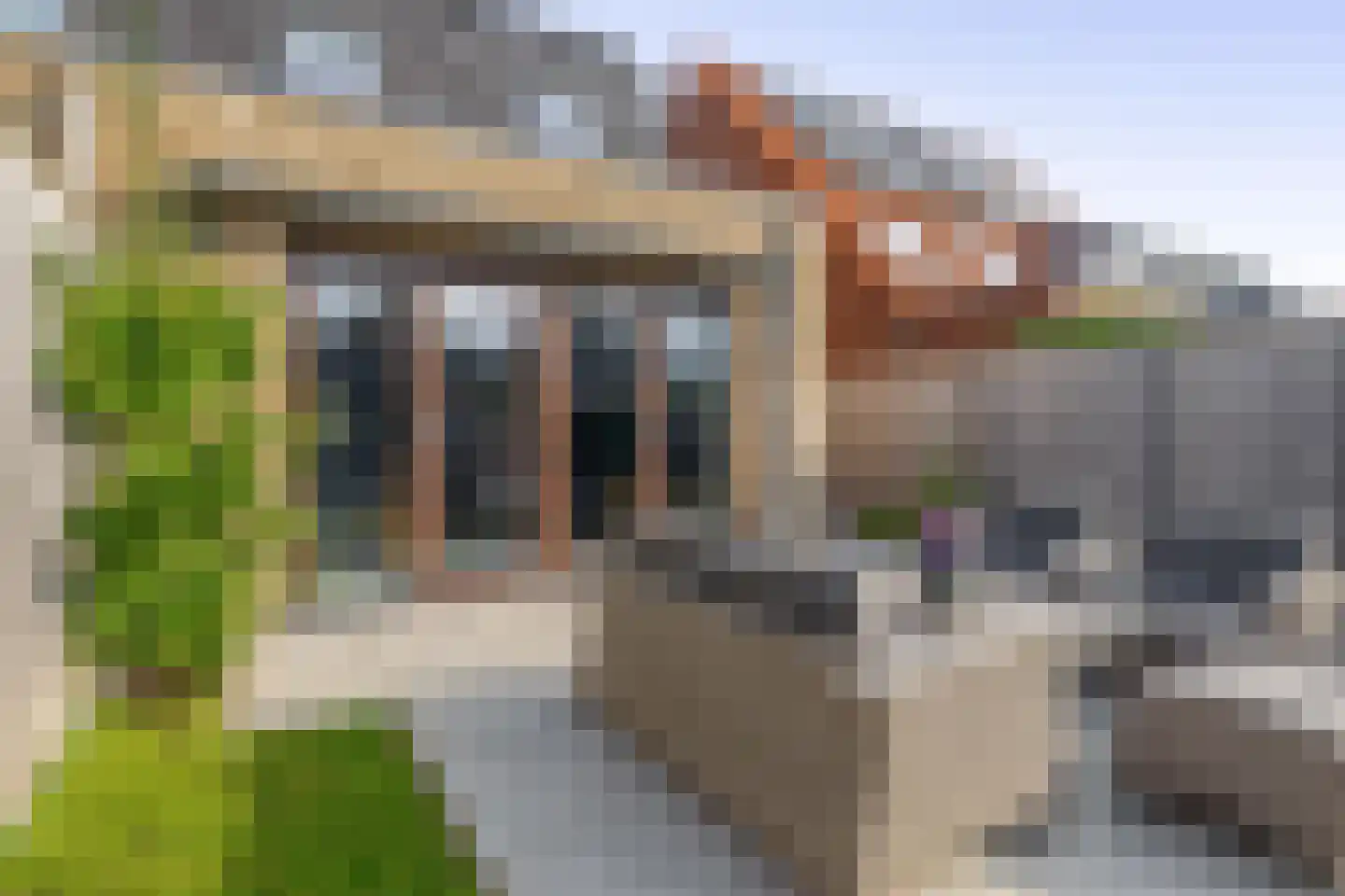 Boterbloem 41 't Veld thumbnail 22