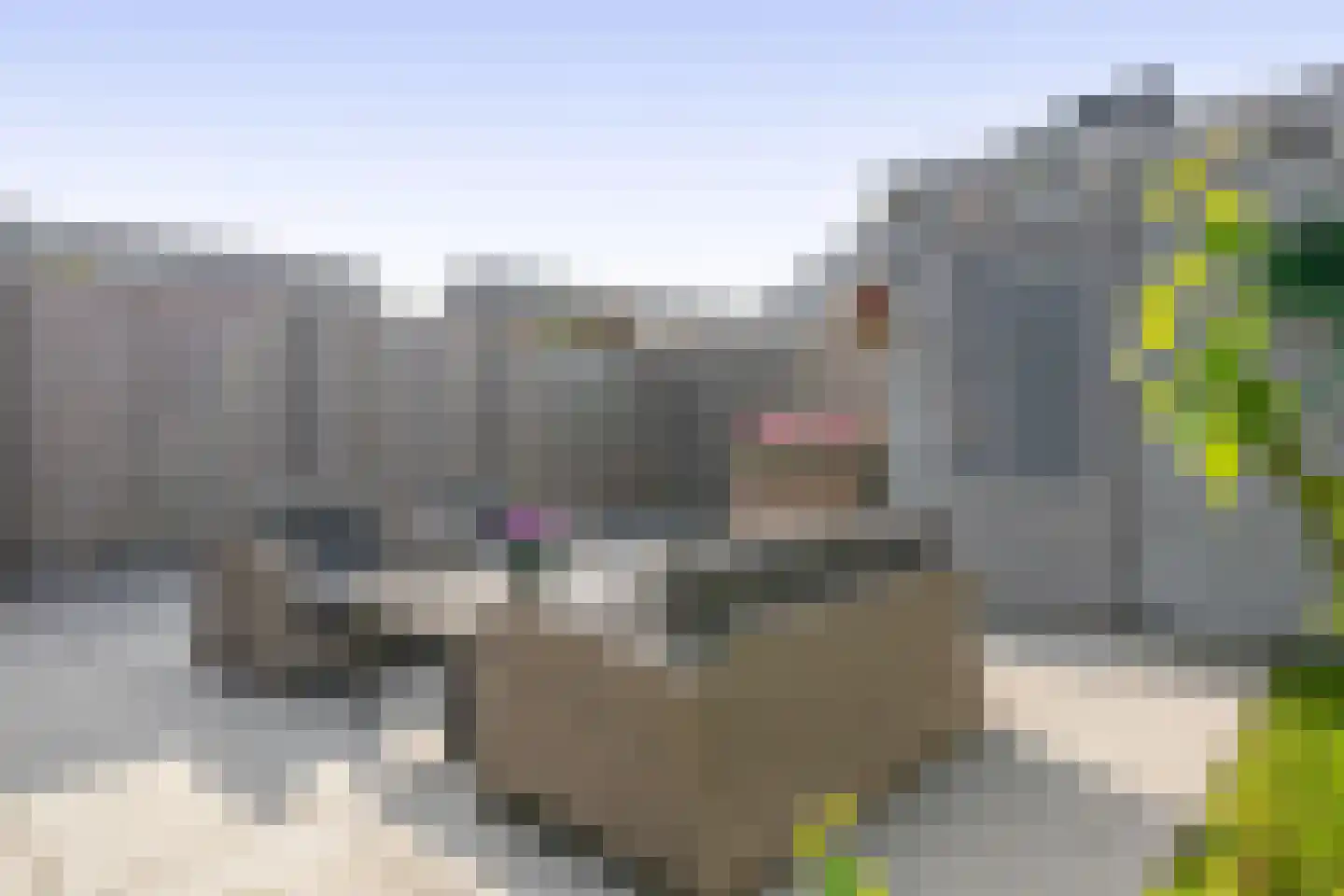 Boterbloem 41 't Veld thumbnail 23
