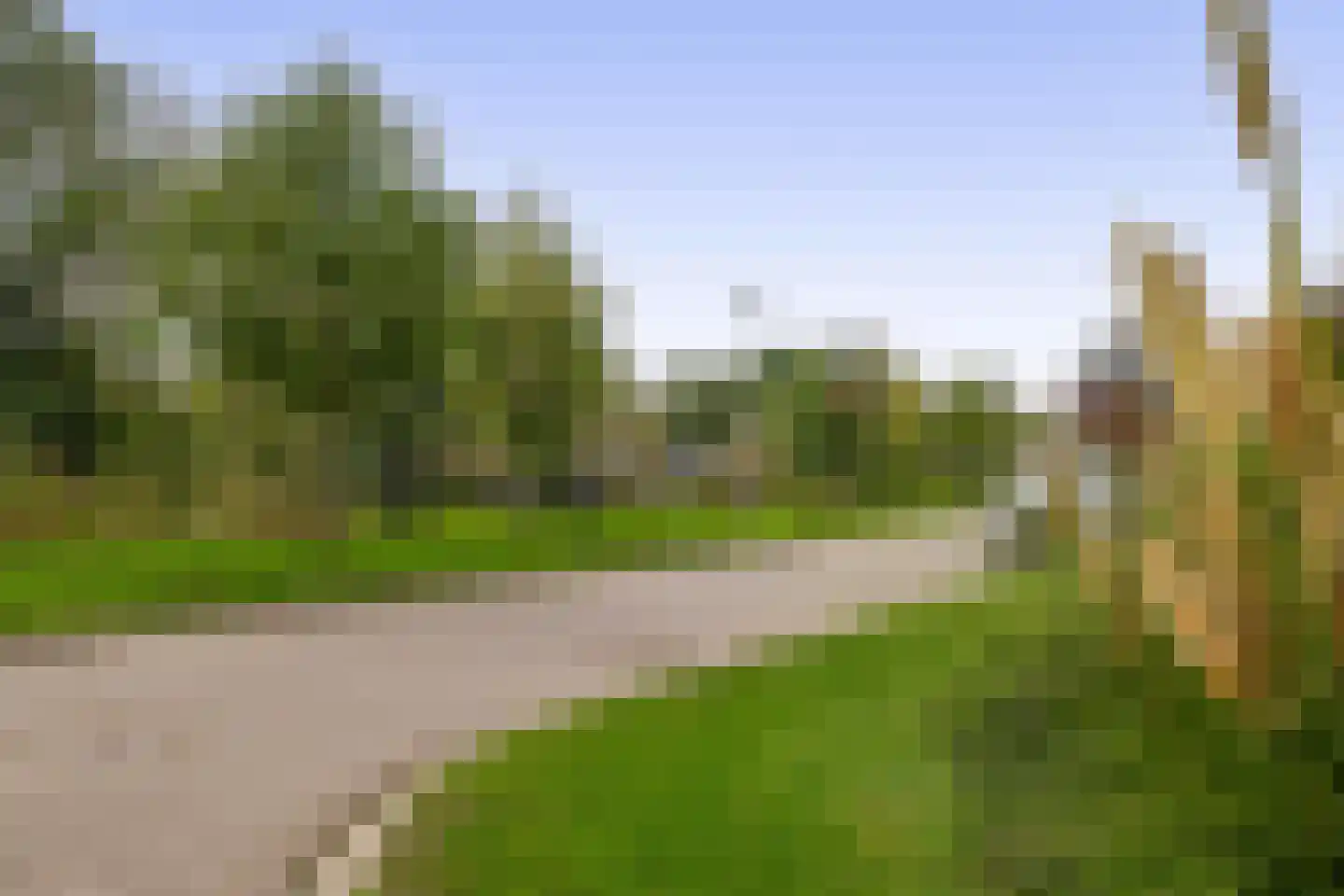 Boterbloem 41 't Veld thumbnail 45